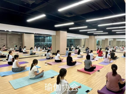 豪门国际