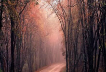 短道速滑——世锦赛:刘少林止步男子500米复活赛四分之一决赛.