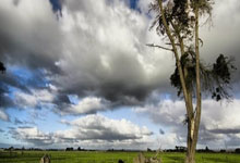 豪门国际官网:德转:原广州队、武汉三镇前锋艾菲尔丁自由身加盟上海海港.