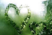 1-1,巴西名宿里瓦尔多之子连场破门:助中甲队2轮不败+升至第6.