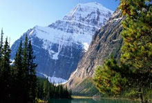 巴西耻辱输球,冲突火爆,维尼修斯伸2根手指嘲.