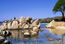 豪门国际官网:库里命中生涯4000记三分 勇士轻取国王6连胜.